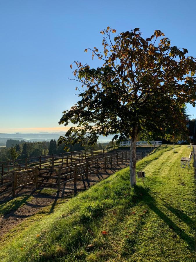 Gut Buchenhof Apartment Buchenberg  ภายนอก รูปภาพ