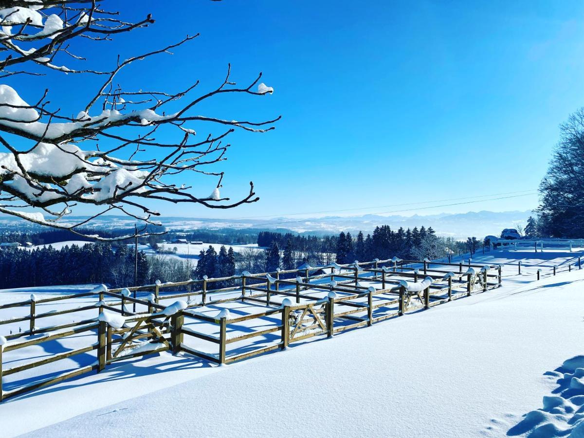 Gut Buchenhof Apartment Buchenberg  ภายนอก รูปภาพ