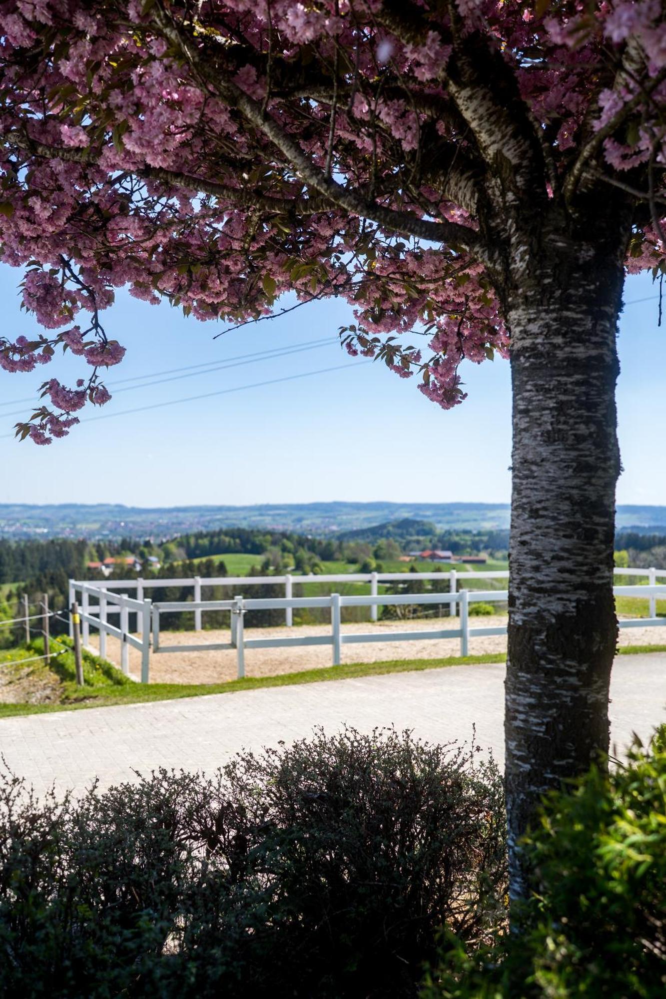 Gut Buchenhof Apartment Buchenberg  ภายนอก รูปภาพ