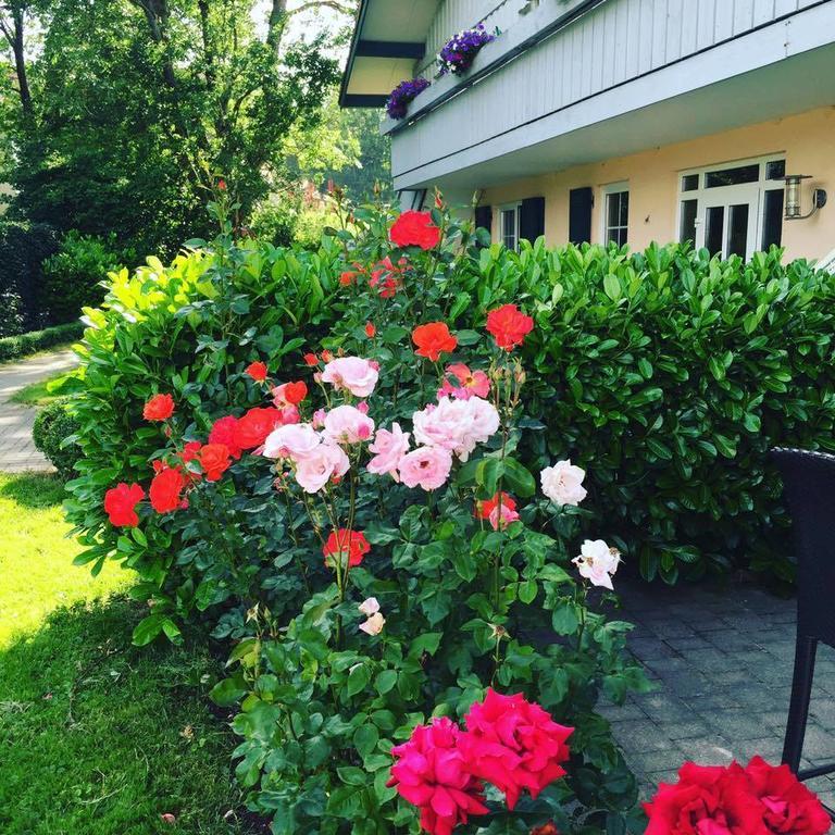 Gut Buchenhof Apartment Buchenberg  ภายนอก รูปภาพ